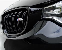 F32 - M4-looking style grille set
